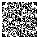QR код "СССР"