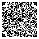 QR код "ДНС"