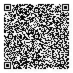 QR код "Мир Дисков"