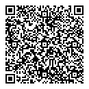 QR код "Индиго"