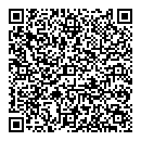 QR код "Глобус"