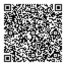 QR код "Visa Travel"