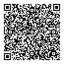 QR код "Муравей"