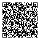 QR код "Игрушка"