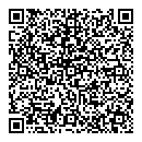 QR код "Rock paint"