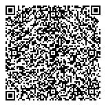 QR код "BMW Link"