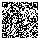 QR код "Little Star"