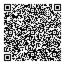 QR код "Глобус"