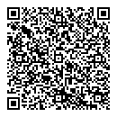 QR код "Динамо"