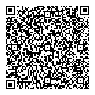 QR код "Шайба"