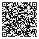 QR код "Pulsar"