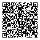 QR код "Мир"