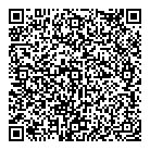 QR код "Лавина"
