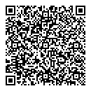 QR код "Лучики"