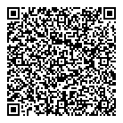 QR код "Visa Travel"