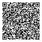 QR код "ДНС"
