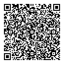 QR код "Венеция"