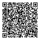 QR код "Remix"