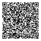 QR код "Скарабей"