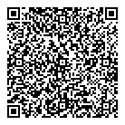 QR код "Moon Light"