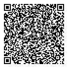 QR код "ВНИСИ"