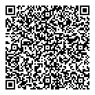 QR код "Рогуна"