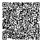 QR код "NDM systems"