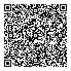 QR код "IVEstore"