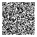 QR код "Aladdin"