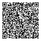 QR код "Silver Fusion"