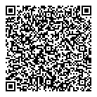 QR код "Видок"