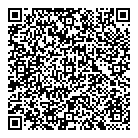 QR код "MSV"