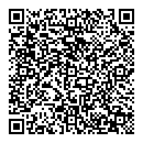 QR код "Шайн"