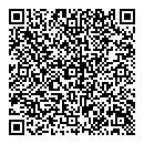 QR код "Flash"