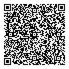 QR код "Дилижанс"