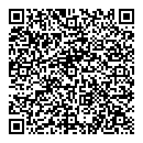QR код "Венеция"