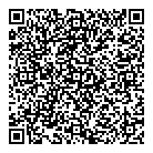 QR код "Интрошик"