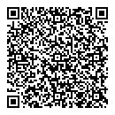 QR код "Мегаполис"