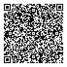 QR код "Торус"