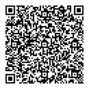 QR код "Alibi"