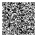 QR код "Санги-стиль"