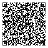 QR код "НПБ-Лизинг"