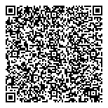 QR код "Метеор"