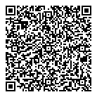 QR код "Гиперглобус"