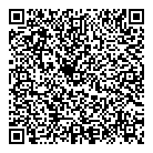 QR код "Aviator"