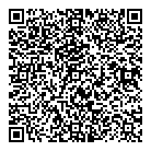 QR код "Давида"