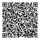 QR код "Спутник"