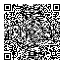 QR код "DAMI"
