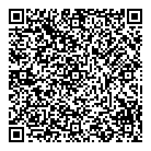 QR код "ALSER"