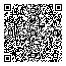 QR код "Хамелеон"